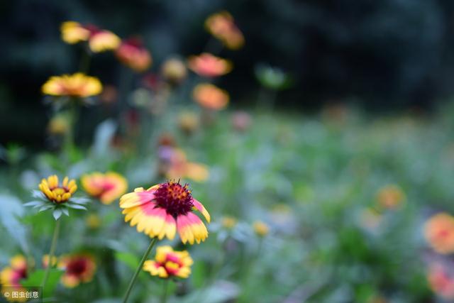 過年了，鄰有三不比，親有三不走！