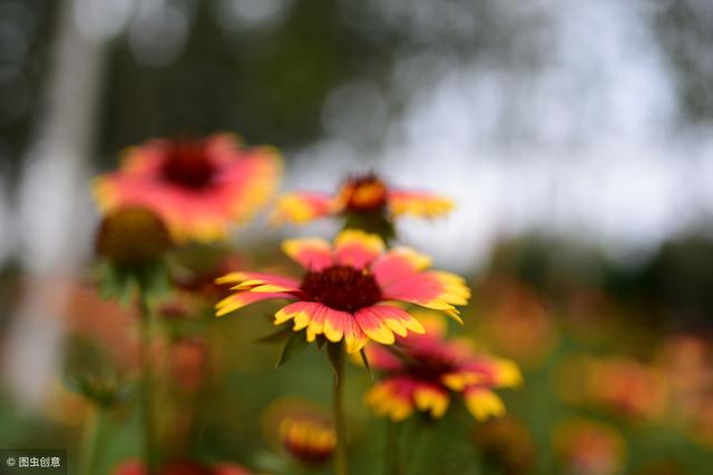 過年了，鄰有三不比，親有三不走！