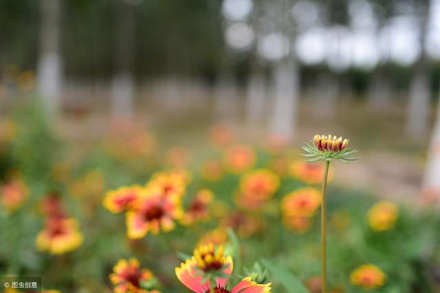 過年了，鄰有三不比，親有三不走！