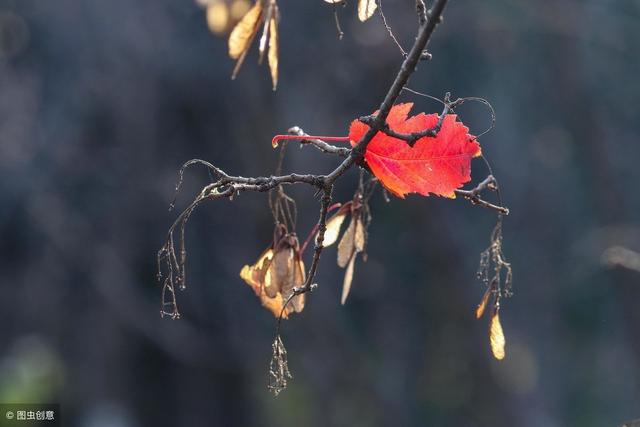 不是你的，得到後也不會長久
