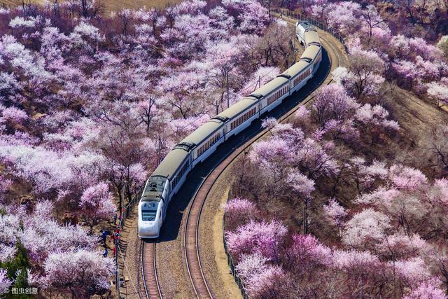 大年初六，祝你2019六六大順，好運連連！