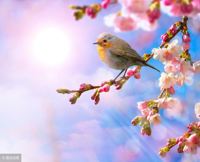 大年初六，祝你2019六六大順，好運連連！