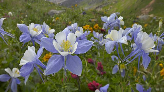 心情不好的時候，讀一讀！ （瞬間醒腦）