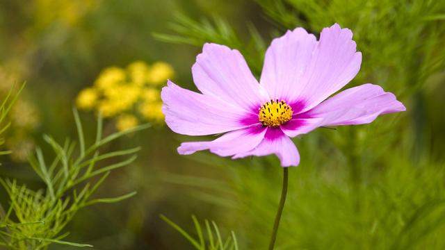 心情不好的時候，讀一讀！ （瞬間醒腦）