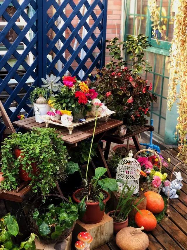 美好生活始於花園