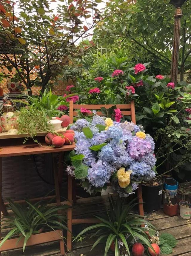 美好生活始於花園