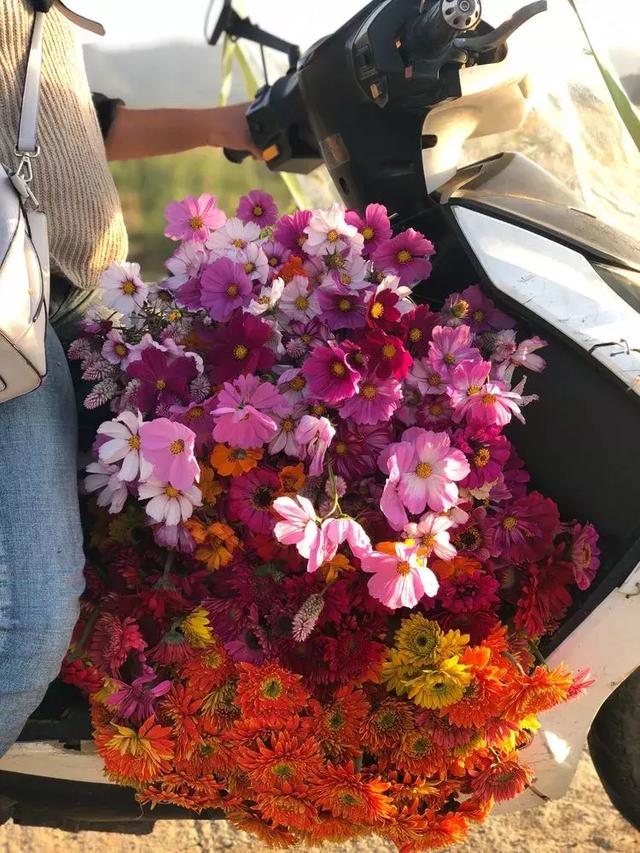 美好生活始於花園