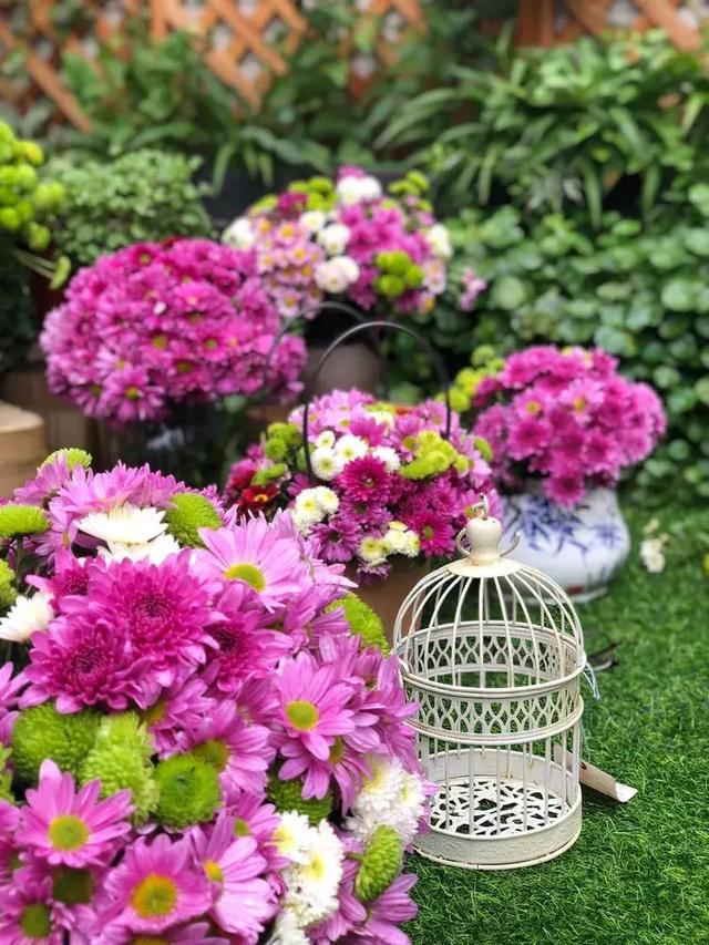 美好生活始於花園