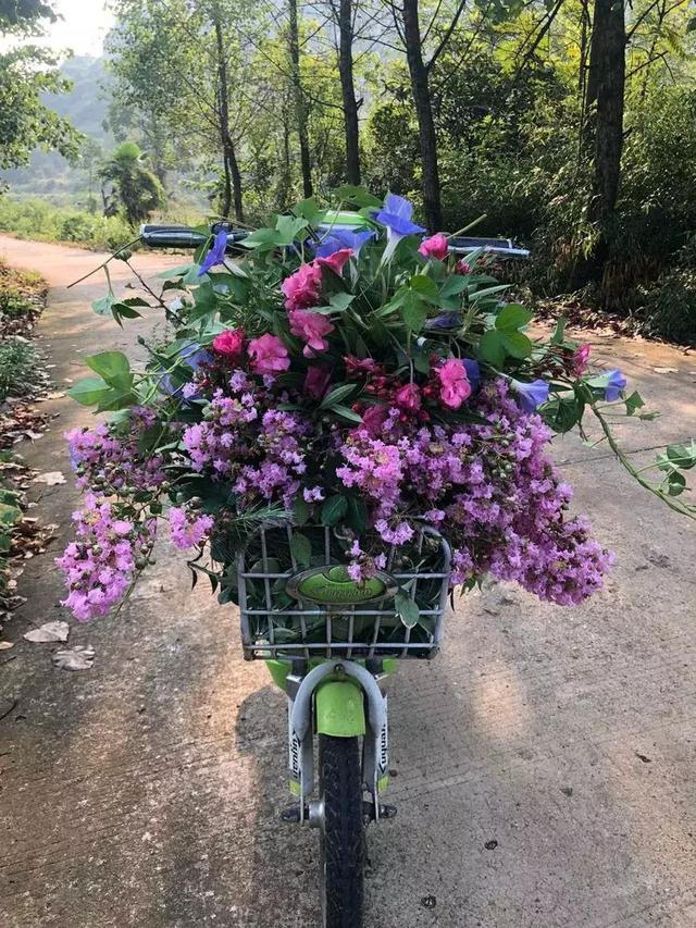 美好生活始於花園