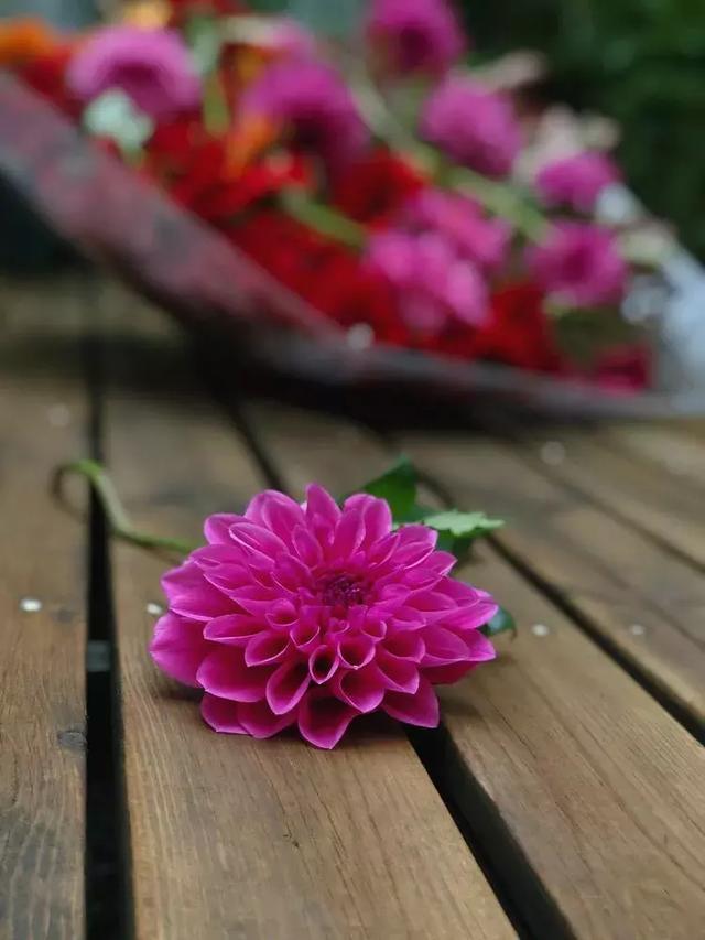 美好生活始於花園