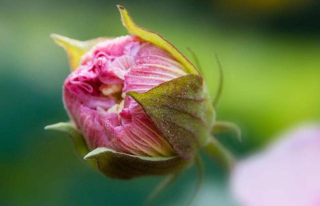 做人要懂得：不打擾，就是最後的溫柔