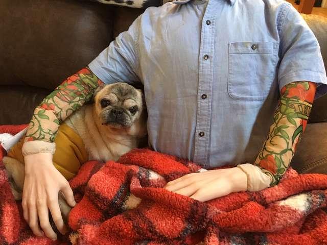 老年巴哥出現分離焦慮，主人購買仿真假人，代替自己在家陪伴狗狗