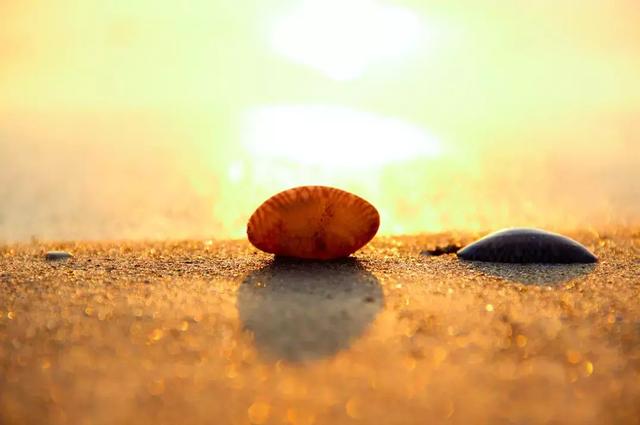 感恩，知足，微笑，簡單