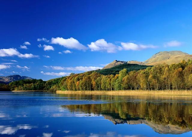 心不正而做事歪，人不誠而信用無！