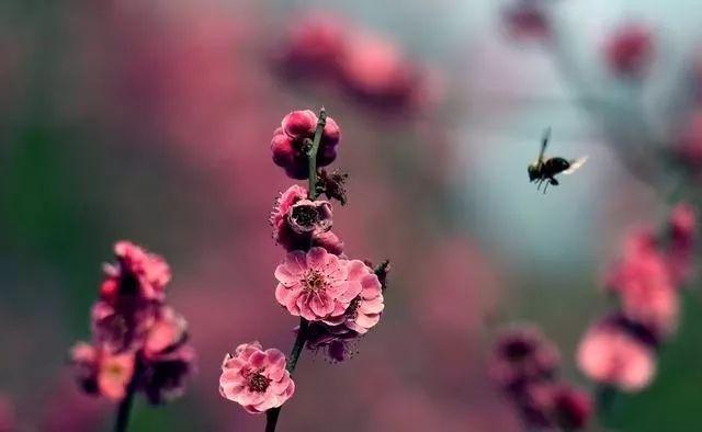 餘生，認真過，好好活！ （經典美文）