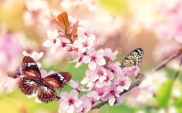 餘生，認真過，好好活！ （經典美文）