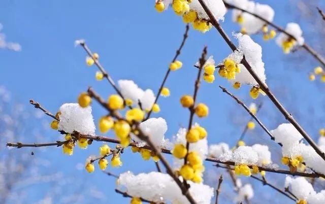 餘生，認真過，好好活！ （經典美文）