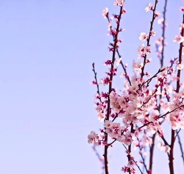 餘生，認真過，好好活！ （經典美文）