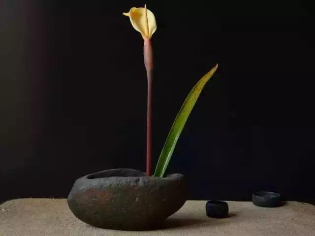 一家不知一家難，寫的真好！