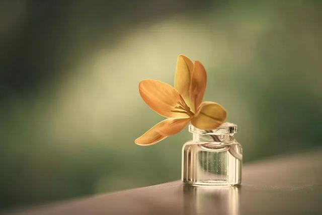 人這一輩子，怎樣才算幸福？