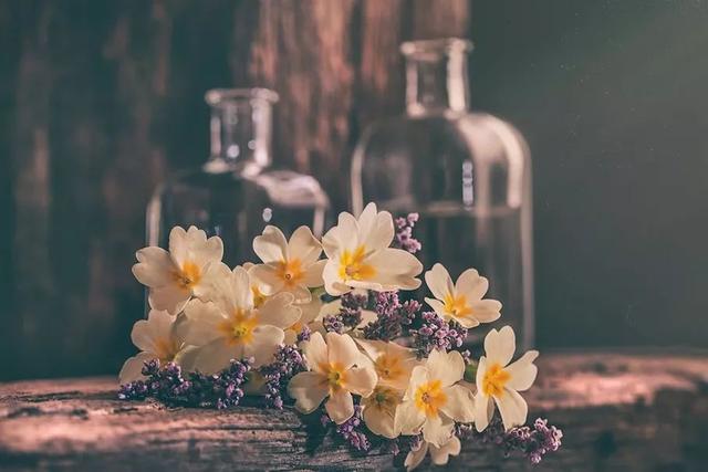 人這一輩子，怎樣才算幸福？