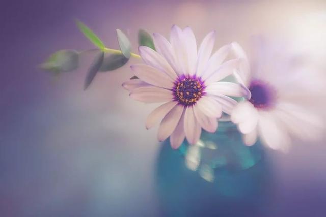 人這一輩子，怎樣才算幸福？