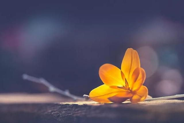 人這一輩子，怎樣才算幸福？