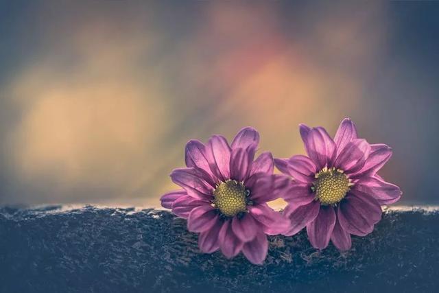 人這一輩子，怎樣才算幸福？