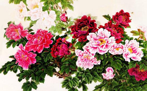 生在這4個吉日的人，面帶看不見的桃花，一生左右逢源多貴人