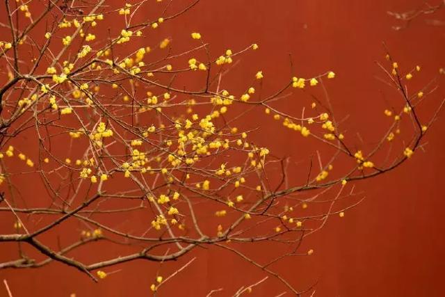 你好，三月！ 願所有美好，不負歸期