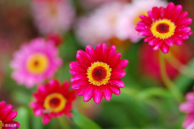 後半生，珍惜三種人！