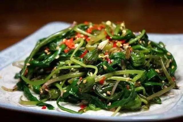 6種營養野菜，趁著春天挖一點，還能泡水噹茶喝！