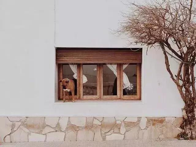 生活已經很累，別讓心更累（深度好文）