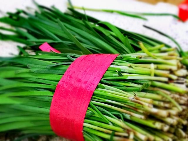 早起的鳥有蟲吃春意萌動人吃啥？