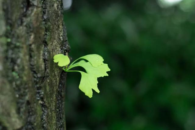 驚蟄，原來是人生的兩種大修行
