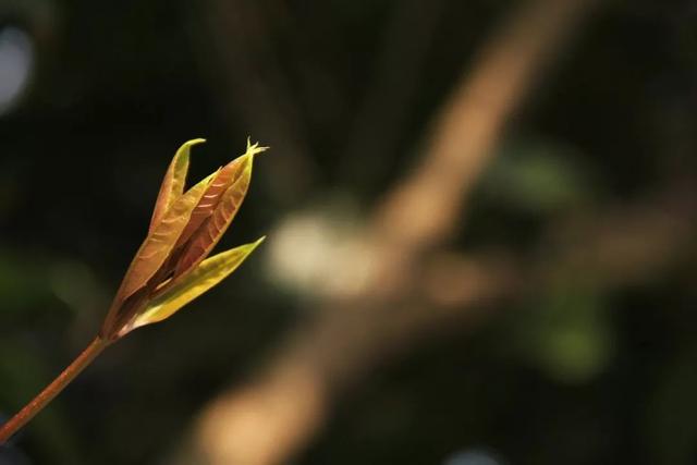 驚蟄，原來是人生的兩種大修行