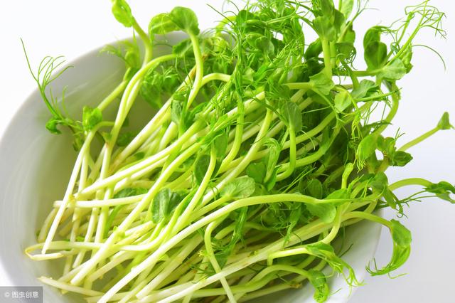 春吃“芽”，降壓、健脾、保肝、防便秘，最全的吃芽攻略請收下！