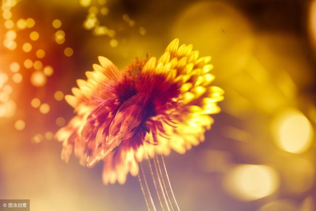 如果你已50-60歲，一定要花三分鐘看看這篇文章