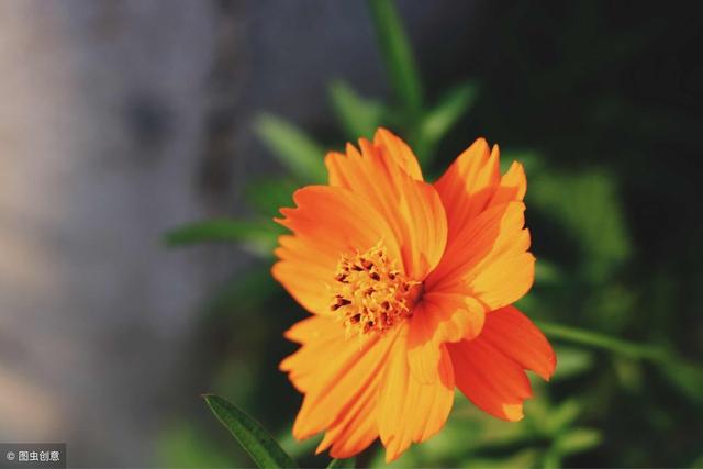 如果你已50-60歲，一定要花三分鐘看看這篇文章