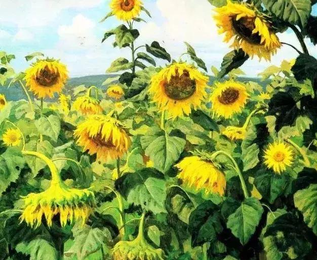 自己選的路，再難也要走！