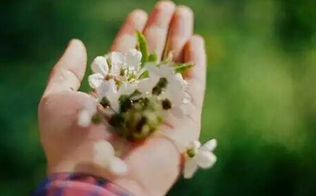 感情過去了便是消散了，一個情過而不留心的星座