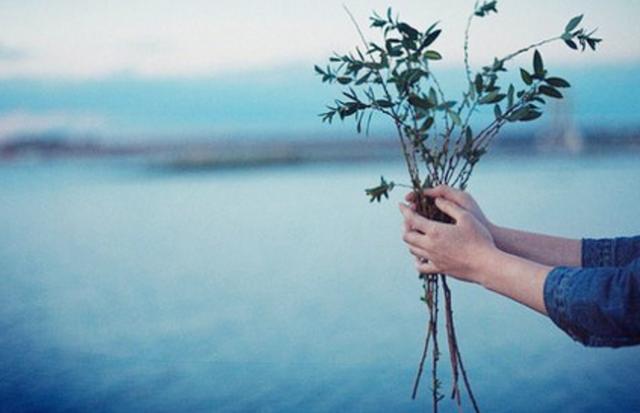 感情過去了便是消散了，一個情過而不留心的星座