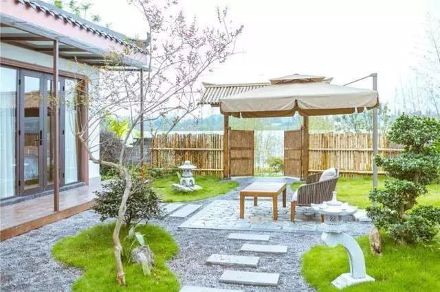 真正的人生從50歲開始，低頭種菜，抬頭賞花！