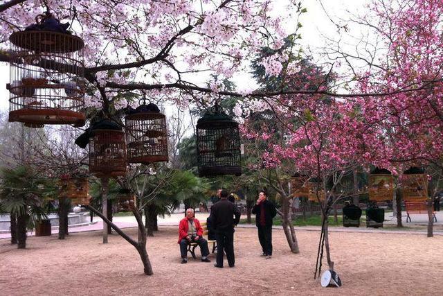 真正的人生從50歲開始，低頭種菜，抬頭賞花！