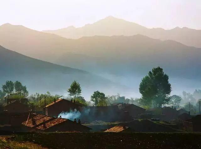 真正的人生從50歲開始，低頭種菜，抬頭賞花！