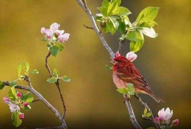 真正的人生從50歲開始，低頭種菜，抬頭賞花！