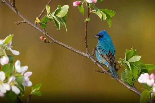 真正的人生從50歲開始，低頭種菜，抬頭賞花！