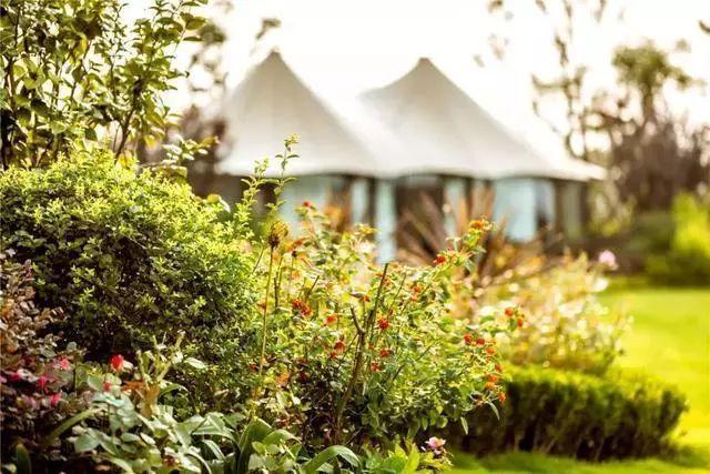 真正的人生從50歲開始，低頭種菜，抬頭賞花！