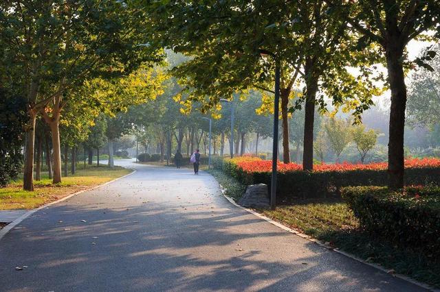 真正的人生從50歲開始，低頭種菜，抬頭賞花！