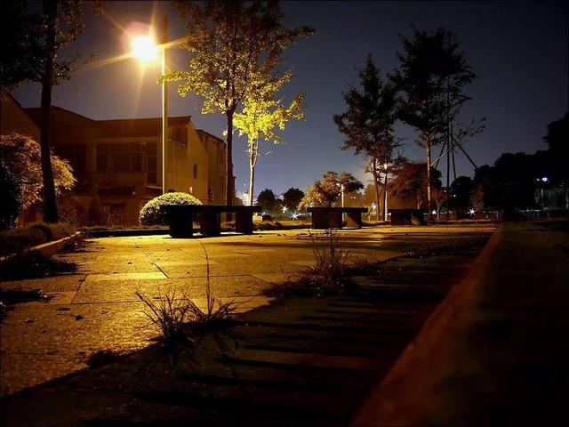 真正的人生從50歲開始，低頭種菜，抬頭賞花！